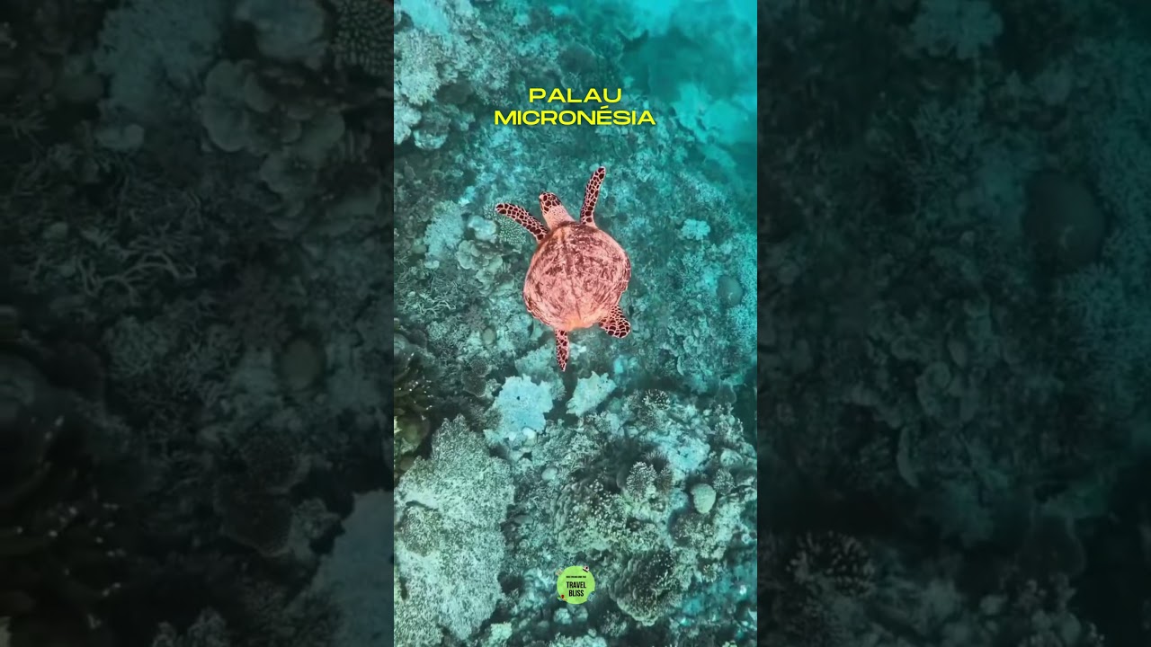 PALAU - Micronésia, um paraíso enigmático, que parece suspenso entre sonho e realidade.