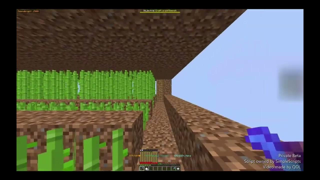Best SugarCane Macro 2mil XP/H Hypixel Skyblock YouTube