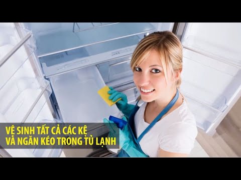 Vệ sinh tủ lạnh như thế nào cho đúng cách? | TƯ VẤN BESTMUA