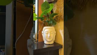 #editing #trending #viral #viralvideo This is not my original audio