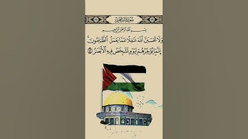 ‏اللهم انصر إخواننا في غزة 🇵🇸| إسلام الصبحي (سورة إبراهيم) #راحة_نفسية #لايك #اكسبلور