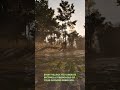 Expand Your Influence Across The Map #bellwrightconsole #Bellwright #BellwrightGameplay