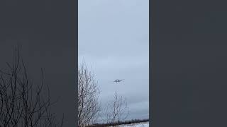 Boeing 737-800 Ижавиа