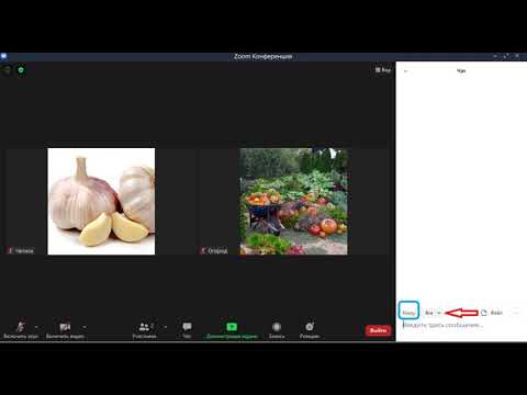 Как написать в чат, находясь в конференции Zoom. Для ПК.
