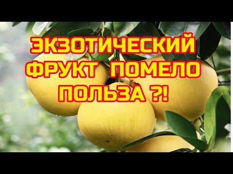 Video: 13 Obetavne Zdravstvene Koristi Pomela