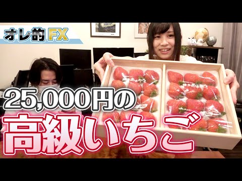 【高級いちご】あまおうプレミアム（桐箱入り25,000円）を食べる！【ふるさと納税】