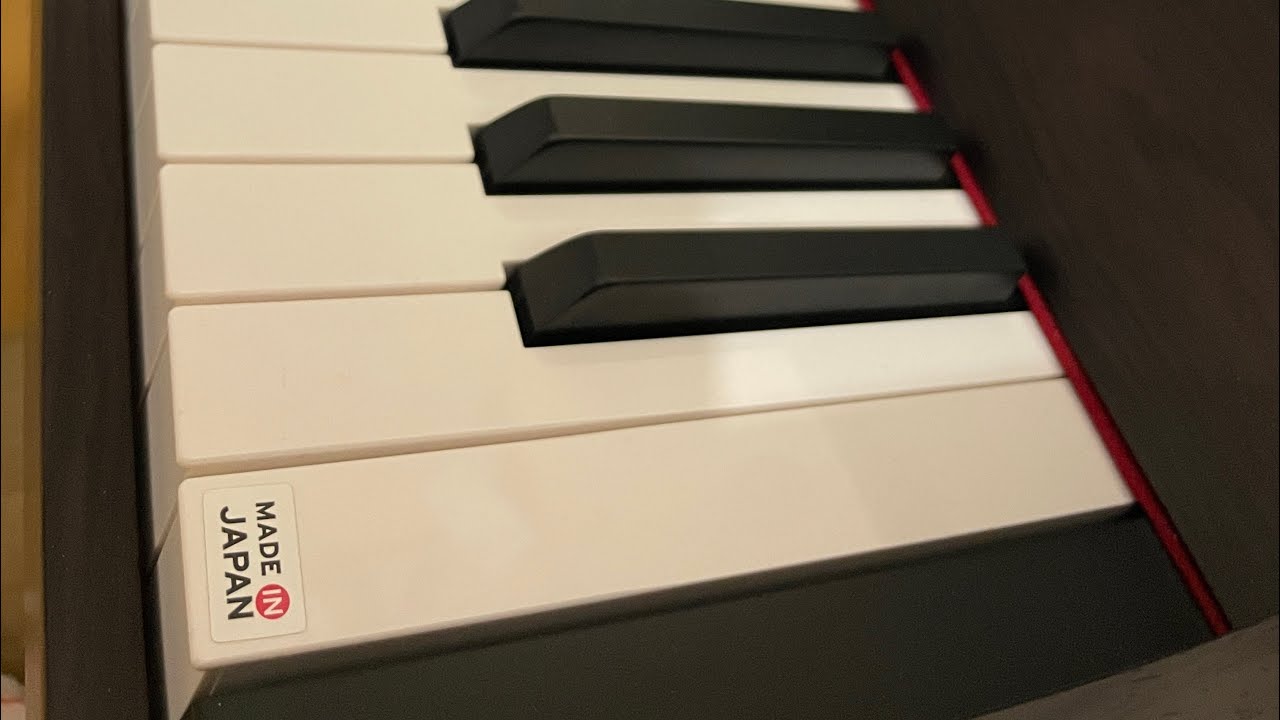 Ремонт клавиатуры Korg G1 (RH3) Repair RH3 keybed