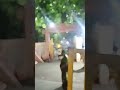 mini vlog 2 to / Jai pitambara ❤️🙏