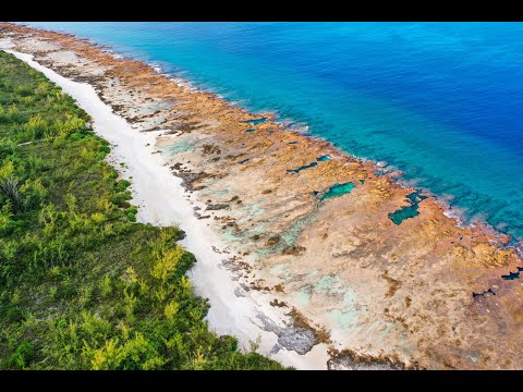 Video: Immagini Di Un'oasi Polinesiana: Mitiaro, Isole Cook - Rete Matador