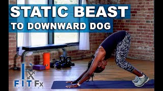 Static Beast To Downward Dog (Modified) Tutorial | Strengthen Your Arms & Core
