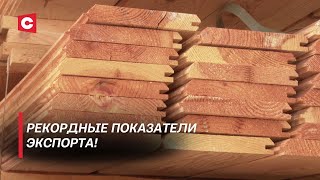 Санкции Европы не страшны! Кто скупает белорусскую древесину?