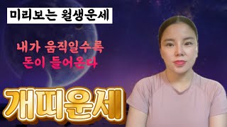 2024년 태어난 월생으로 보는 개띠운세 내가 움직일수록 돈이 들어온다 일과 재능에 기회가 온다