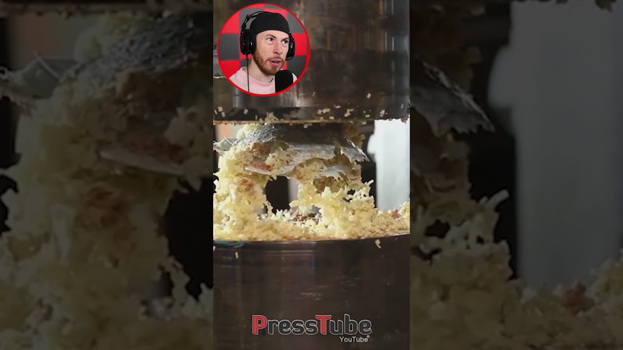 Crushing Videos That Will Make You Say WHY #Shorts