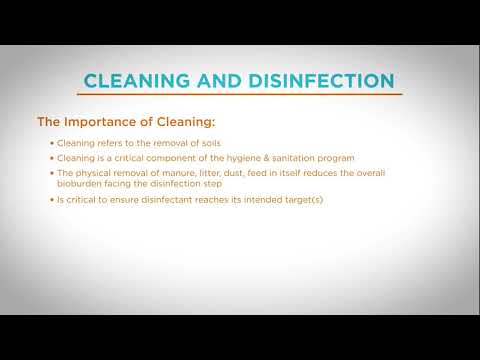 Importance of Cleaning