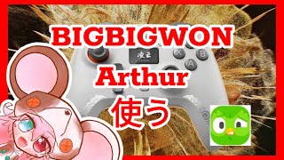 【雑談｜レビュー｜パッド】BIGBIGWON Arthurというパッドを使ってみる【コスパ】: 490 #vtuber