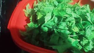 видео: ДЕНЬ КУЛИНАРИИ картинка: ДЕНЬ КУЛИНАРИИ