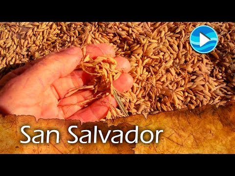 Historias del Pago Chico - San Salvador