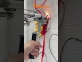 Carpet tufting gun trimming ASMR ✂️ #CarpetTuftingGun #asmr