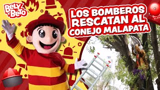 Los Bomberos Rescatan al Conejo Malapata  Bely y Beto