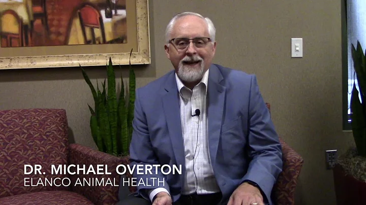 Dr. Michael Overton: Replacement Heifers: How Many...