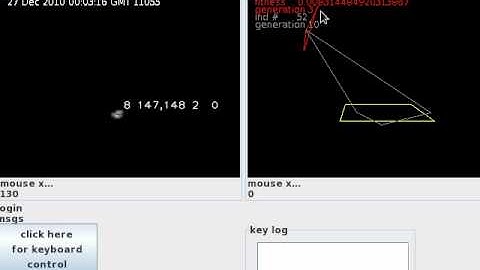 genetic programming update 2