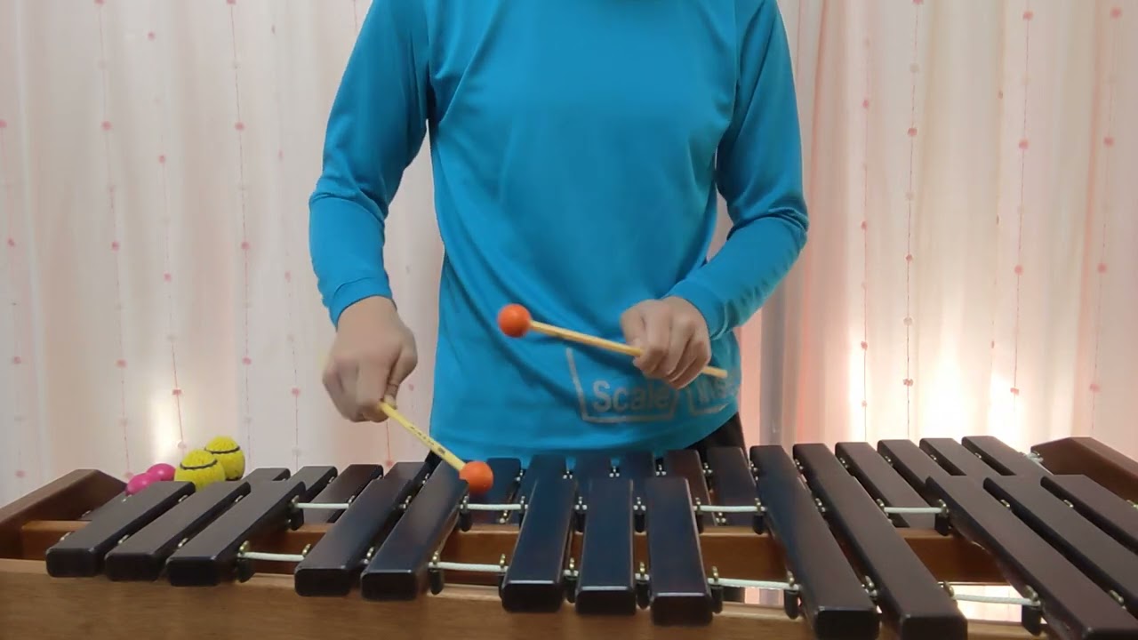 民族楽器 木琴 トトロの森のような自然の音 My Neighbor Totoro