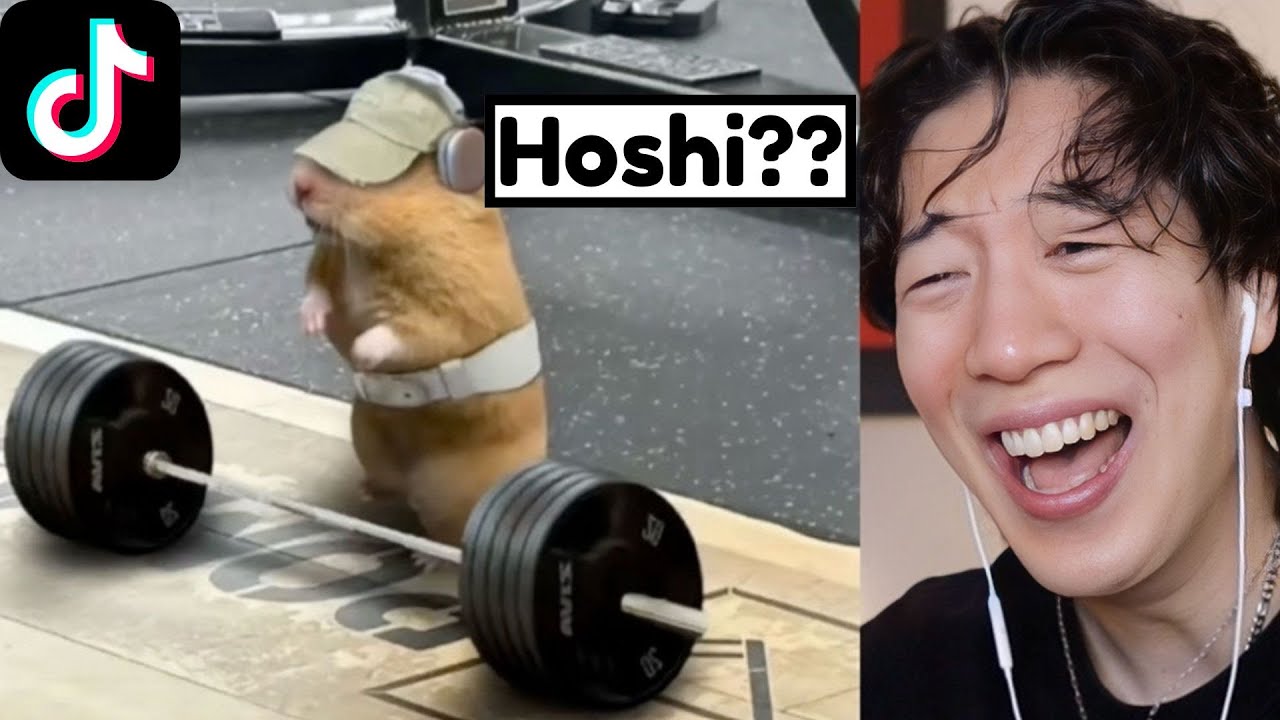 Семнадцать TikTok-редакторов СЛИШКОМ СМЕШНЫЕ