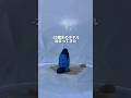 -20度 氷のホテル泊まってきた#youtubeshorts