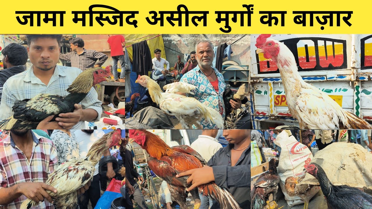 Jama masjid murga markit | Sunday Market Jama masjid