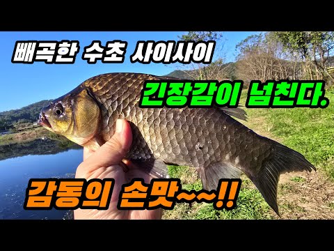 빼곡한 수초 사이사이 긴장감이 넘친다 ^^