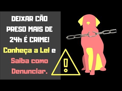 Vídeo: Como Acorrentar Um Cachorro