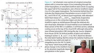 3    Detailed Structure of a Mesoscale Convective System