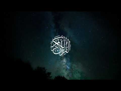 Surat Muhammed - Omar Hisham Al Arabi