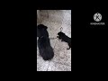 #trending mae anadi tu Khiladi#comedyvideo #viral #today #funny 2023🤣🤣🤣