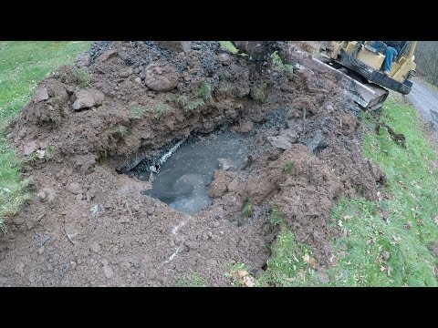 Video: Paano ka nagtatanim ng damo sa ibabaw ng leach field?