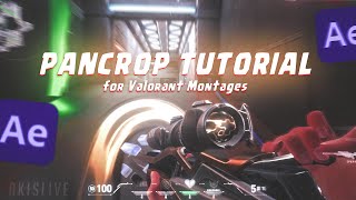 Basic Pancrop Tutorial for Valorant Montages in After Effects  [Hindi ] EP - 05