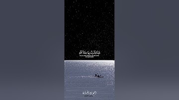 سورة الإنسان الشيخ ربيع الجراري #التراويح