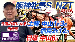 【阪神牝馬S&ニュージーランドＴ】出走馬ジャッジ