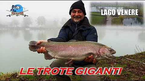 Cosa mangiano le trote grandi?