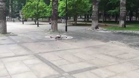 Hovering with slung load by using disturbance compensation