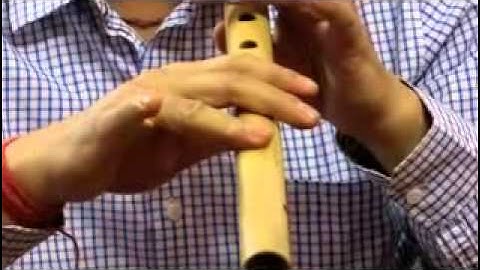 How to grip Bansuri (Bamboo flute) Beginner (Learner)