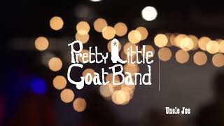 Pretty Little Goat "Uncle Joe/Leather Britches" live concert video from Isis Music Hall