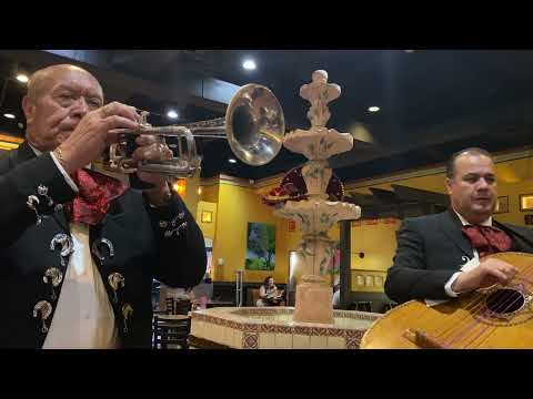 Por Mujeres Como Tu - Mariachi Monarcas De Mexico: Galveston 1 (5-13-2026) @SalsasRestaurant 