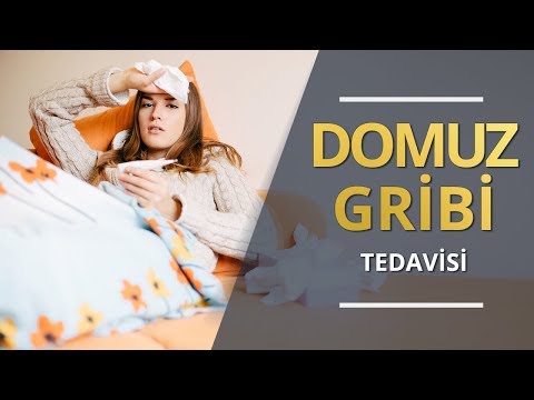 Domuz Gribi Tedavisi Nasıl Yapılır?- Prof. Dr. C. Dost Zeyrek