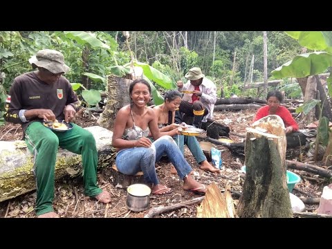 Subsistence Agriculture in the Amazon rainforest/ Cassava/ Lunchtime.