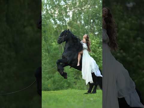 Friesian stallion #horse
