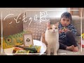 猫と楽しむ、こどもの日
