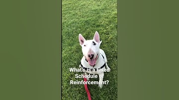 Fixed Schedule of Reinforcement