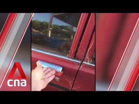 Australian man cooks roast pork in car during heatwave