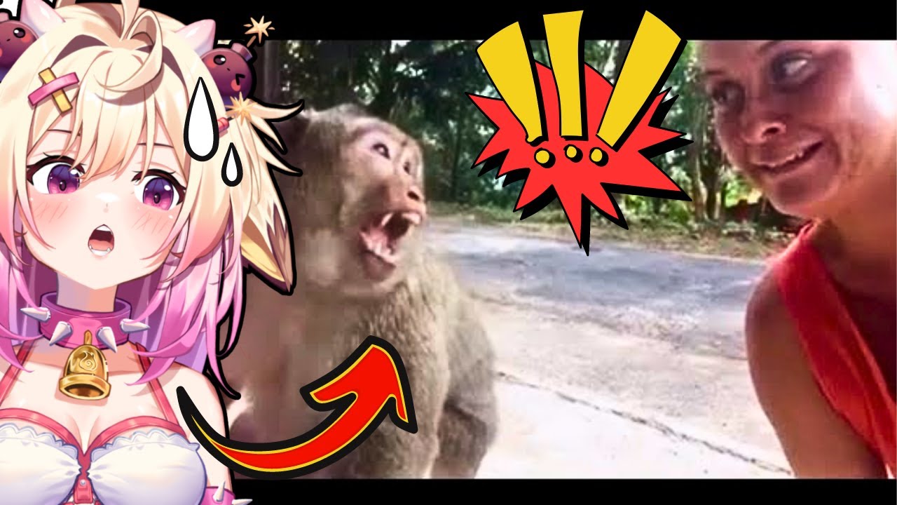 Черт возьми, ты с ума сошел | Невероятные провалы животных. Реакция rosiebellmoo на провальную ар...